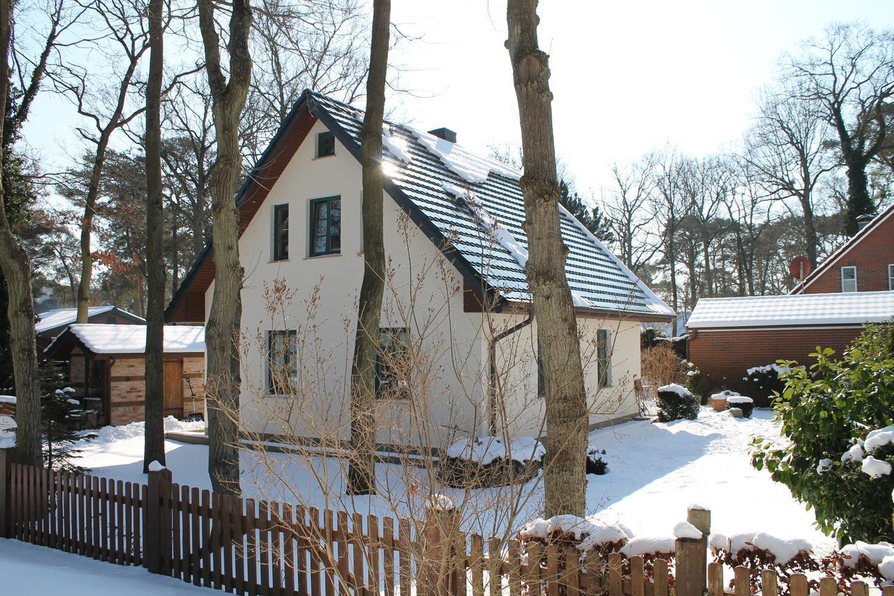 Ferienhaus "Sandduene No.19" 博尔滕哈根 外观 照片